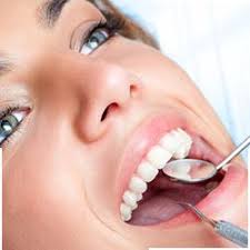 Справочник Европы. Фирмы и услуги в Европе