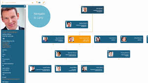 search for any information within your org chart