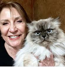 I need your advice about something important regarding my cat , my cat name  is Nutelle she used to be a stray cat , i adopted her when she was 2 months