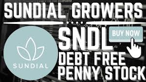 Is registered with the u.s. Sundial Growers Penny Stock Sndl Is It A Buy Sundial Growers Is Now Debt Free Bad Days Over Youtube