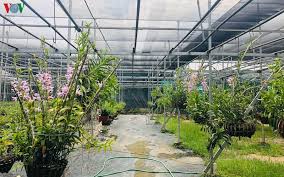 Tuy rằng tiềm ẩn nhiều rủi ro nhưng nhiều người vẫn đầu tư mạnh vào đây. CÆ¡n Sá»'t Lan Ä'á»™t Biáº¿n Tiá»n Tá»· Tran Vá» Vá»±a Hoa Ä'ong La Ä'ai Phat Thanh Va Truyá»n Hinh Láº¡ng SÆ¡n