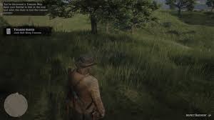 How to unlock the treasure hunter trophy in god of war: Rdr2 Jack Hall Gang Treasure Mission Maps Locations And Treasure Guide Polygon