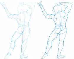 When it comes to training the back muscles, it's important to remain cognizant of your back muscle anatomy. Male Back Torso Drawing Reference And Sketches For Artists