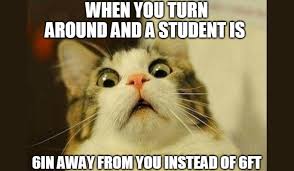 Please note, moderators reserve the right to remove any post. Memes From Teachers About Schools Reopening California Casualty
