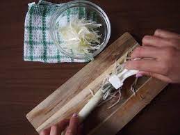 地味な見た目で使うと感動 ダイソーの あの 商品 サンキュ ダイソー のあ 便利グッズ