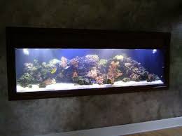 Portraits Of Elegance Wall Aquarium Fish Tank Wall Aquarium Design
