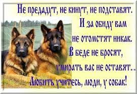 pin ot polzovatelya luz na doske pozhelaniya vazhnye citaty mudrye citaty glubokomyslennye citaty