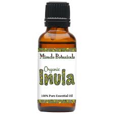 Image result for Inula