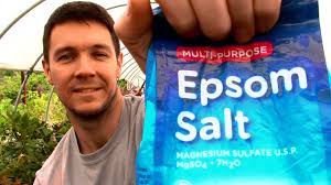 Epsom salts have been a popular natural remedy for centuries, used to help with anything from healing wounds to relieving constipation. Epsom Salts As Fertilizer And Pest Control Luv2garden Com