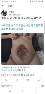 자기 뱃속에 태아를 ㅜ 고발합니다 - 보배드림 자유게시판