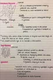 Pin By Sharon Llewellyn On Ap Bio Nursing School Notes Medical School Essentials Medical School Studying
