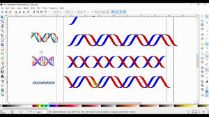 Inkscape For Scientists 11 Draw Dna Helix From Simple Shapes Using The Path Menu Youtube