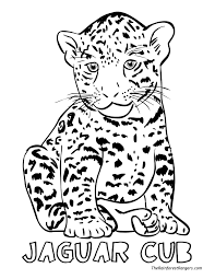 Animal descriptions and their stories from the kids saving the rainforest sanctuary in costa rica. Pin On Church
