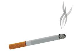 vector rokok format cdr png biologizone vector rokok format cdr png biologizone