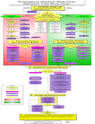 75 Comprehensive Emt Flowchart