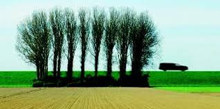 Het verhaal is deels gebaseerd op zijn eigen familiegeschiedenis. Tzum Recensie Rashid Novaire Zeg Maar Dat We Niet Thuis Zijn