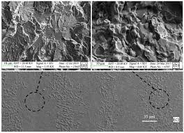 Image result for bulat steel micrograph
