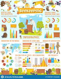 Infographic Of Beekeeping Statistics With Charts Stock
