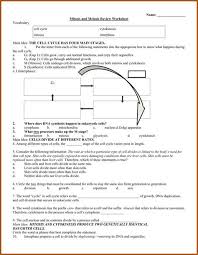 Cell cycle worksheet answer key akademiexcel.com. Cell Cycle Student Worksheet Answer Key Mitosis Coloring Answer Key Biology Corner My Pdf The Liagrafi Belots Showsslt Cerrsit Order I Tehich Mirosis Occun And O Marulidamanikaso