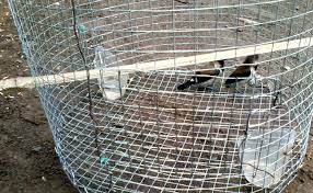(s.71) cara membuat sangkar burung ciblek custom dari bambu part.1. Cara Membuat Bagian Pintu Sangkar Burung Bulat Cute766