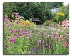 Click on a zone within a county for more information about the general landslide hazard forecasted for that area. Desert Jewels Nursery Prairie Garden In Summer Prairie Garden Native Garden Plants