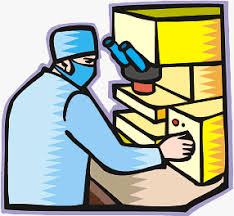 Deckblatt leicht online gestalten mit formular und vordefeniertem layout. Naturwissenschaften Klasse 5 6 J Kleis Www Schulzeug Online De