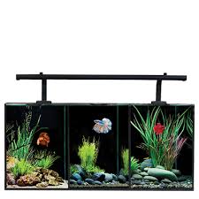 I got the one on display as they were out of stock. Unrivalled Range Of Great Aquariums