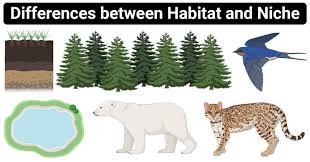 14 Differences Between Habitat And Niche Habitat Vs Niche In 2020 Habitats Grassland Habitat Common Birds