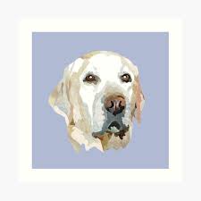 We consider it an honor to be a silver lab puppy breeder in the state of maryland and work hard to make sure that when our. Blond Lab Art Prints Redbubble