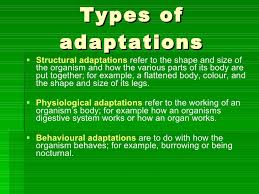 Vaikų Rumai Ismintis Klimatiniai Kalnai Types Of Adaptation Yenanchen Com