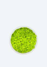 Image result for Spirodela polyrrhiza