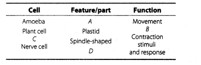 Check spelling or type a new query. Ncert Exemplar Problems Class 8 Science Chapter 8 Cell Structure And Functions Indianexpresss In
