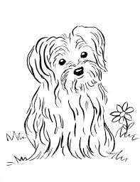 Coloring page with a cute dog. Puppies Coloring Pages Gallery Whitesbelfast Com