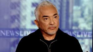 Cesar Millan talks about how training dogs can make us better humans