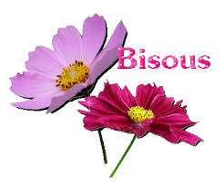 RÃ©sultat de recherche d'images pour "gif felicitation"