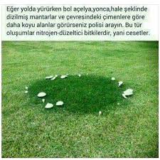 Yuzdeki Tuylerden Kurtulma Cilt Bakimi Evde Agiz Yarasi Saglikli Yasam Tuy Dokucu Dogal Puruzsuz Cilt Bilgi Bilim Doga Bilgi Islem