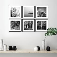 Black And White Framed Wall Art Set Black And White Tree Photography Gallery Wall Digital Downloads Picture Wall Printable Art Set Square Nature Photo Wall Tasmania Australia Picture Wall Living Room Black And White Tree Gallery Wall