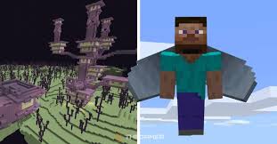 Image result for Elymandra