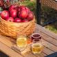 Idiot Brothers Cider Pressing Day Party! event image