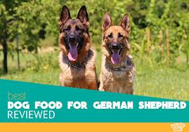 Best Dog Food For German Shepherd Reviews And Ratings For 2019