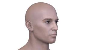 Crash Test Dummy Head On Medical Stock Photo 3506773