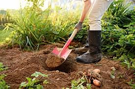 Before placing your raised beds in their permanent location, be sure to remove any grass or perennial weeds from the area. How Much Does A Cubic Foot Of Dirt Weigh Dirt Connections
