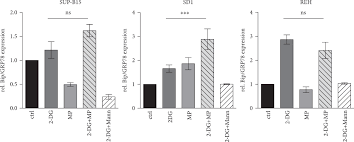 Find latest news, video & photos on 2dg covid medicine. 2 Deoxy D Glucose Restore Glucocorticoid Sensitivity In Acute Lymphoblastic Leukemia Via Modification Of N Linked Glycosylation In An Oxygen Tension Independent Manner