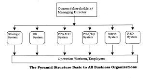 Curious Centralized Organization Chart 37 Small Business