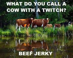 Robert Watson On Twitter Funny Work Jokes Work Jokes Funny Puns