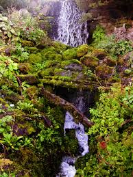 Waterfall Rock Garden Botanic Gardens Edinburgh Botanical Gardens Rock Garden Botanic Gardens Edinburgh