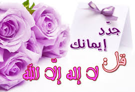 pin by رغــــــد on بطـاقـات صبـاحيـة واسـلاميـة rose plants flowers