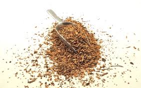 Image result for Rhytachne