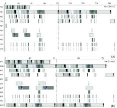 Gantt Chart Of Operational Schedule Solution For The