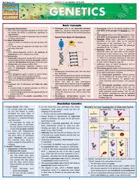 Genetics Ebook Basic Concepts Study Guide Mcat Study